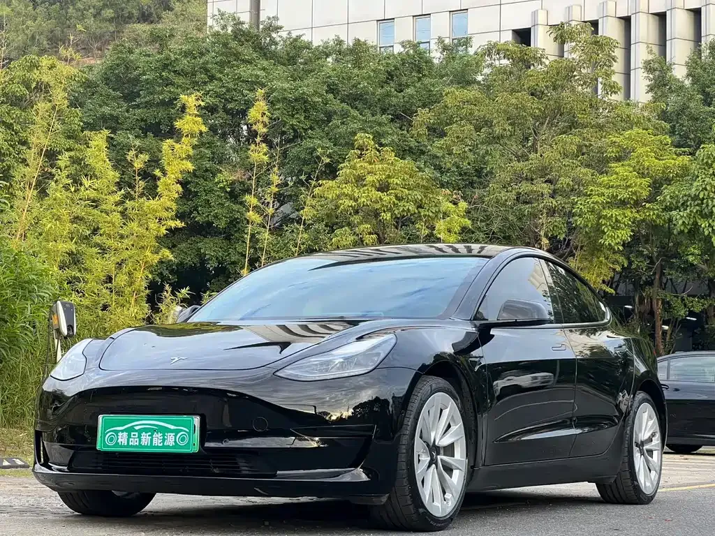 Tesla Model 3 2023 из CN, фото 1