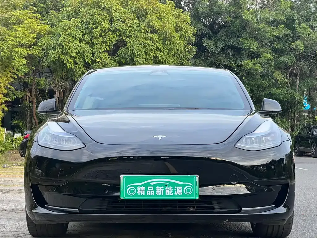 Tesla Model 3 2023 из CN, фото 2