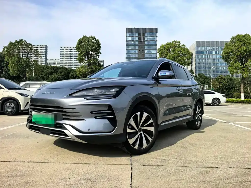 BYD PLUS New Energy — фото 1
