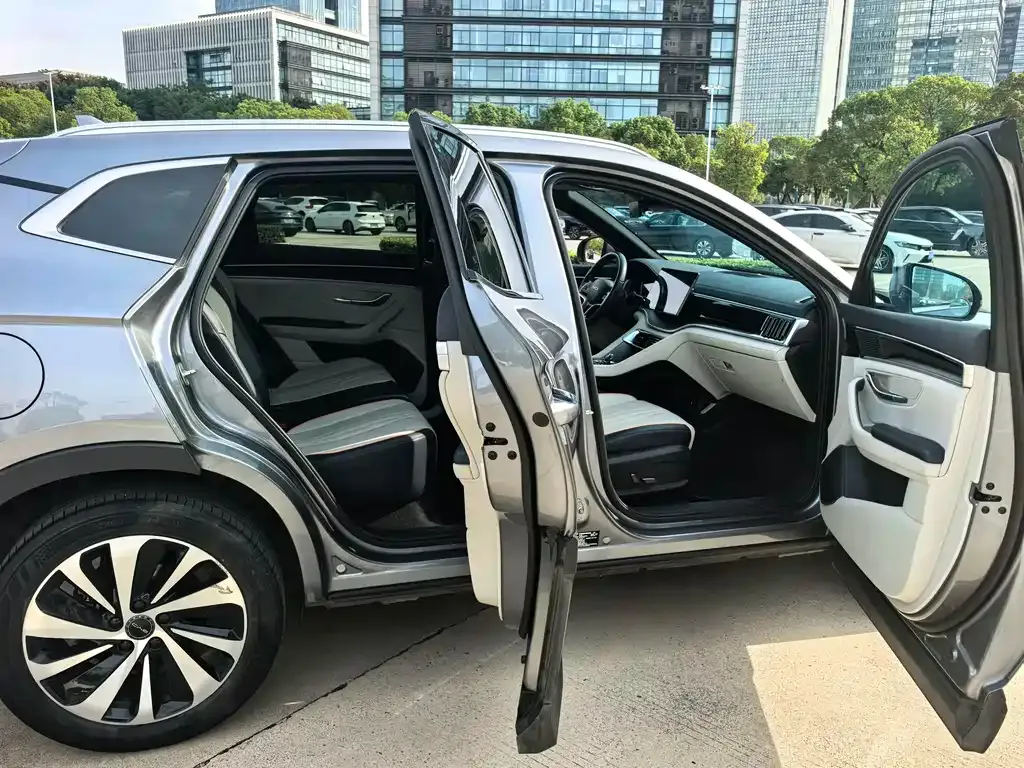 BYD PLUS New Energy — фото 10