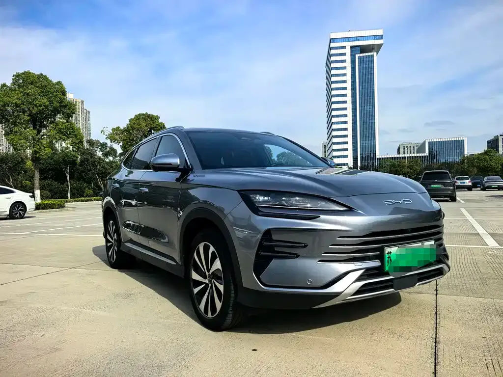 BYD PLUS New Energy — фото 3