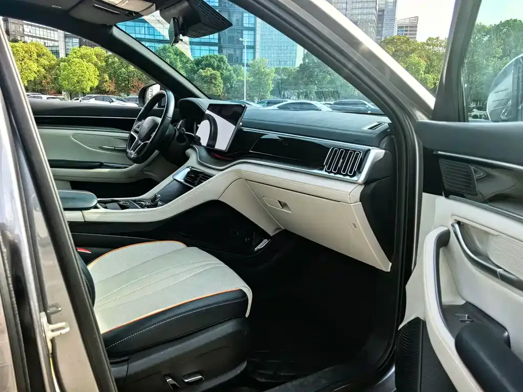 BYD PLUS New Energy — фото 7