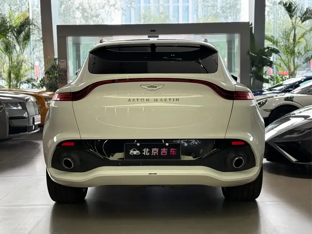 Aston Martin DBX 2022 из CN, фото 4