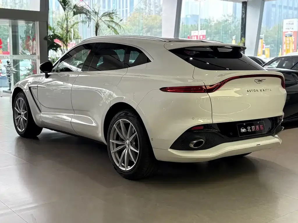 Aston Martin DBX 2022 из CN, фото 5