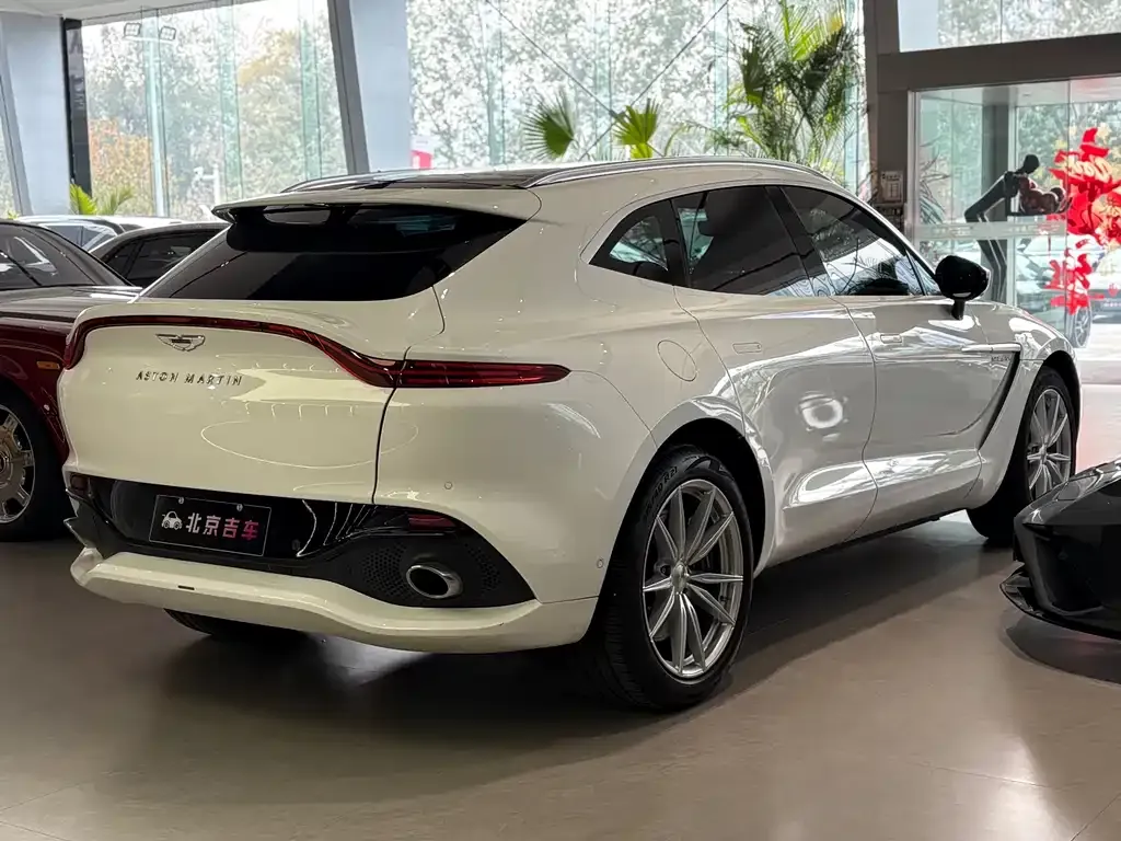 Aston Martin DBX 2022 из CN, фото 6