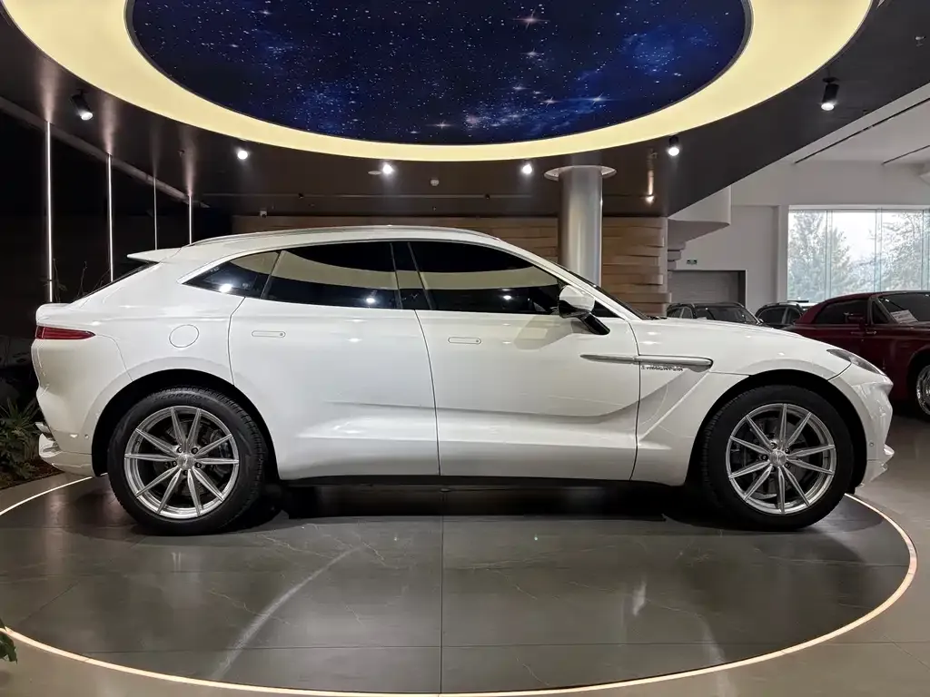 Aston Martin DBX 2022 из CN, фото 7