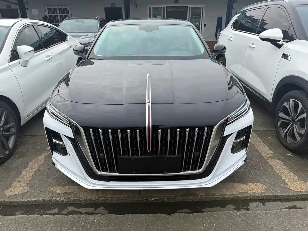 Hongqi H5 2023 из CN, фото 2