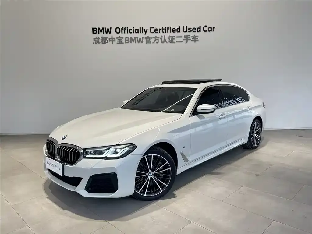 BMW 5 Series 2023 из CN, фото 1