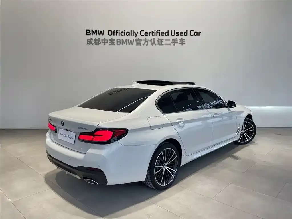 BMW 5 Series 2023 из CN, фото 3
