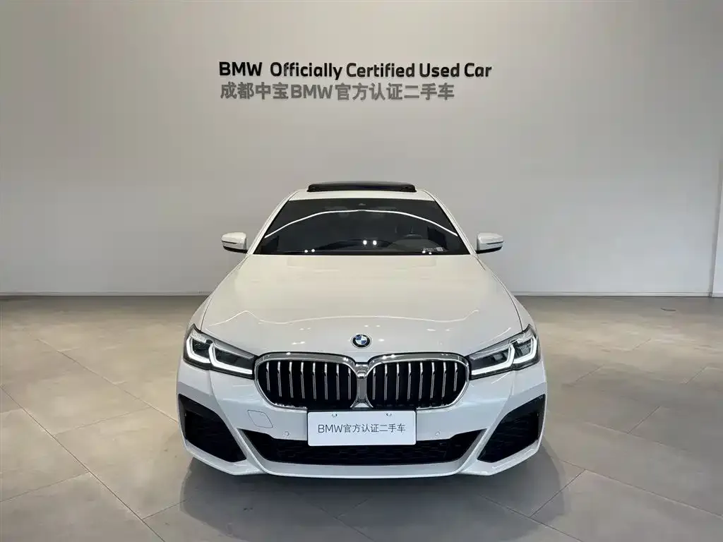 BMW 5 Series 2023 из CN, фото 4