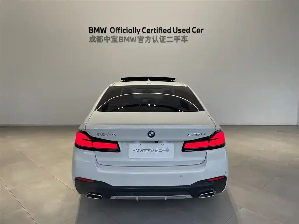 BMW 5 Series 2023 из CN, фото 5