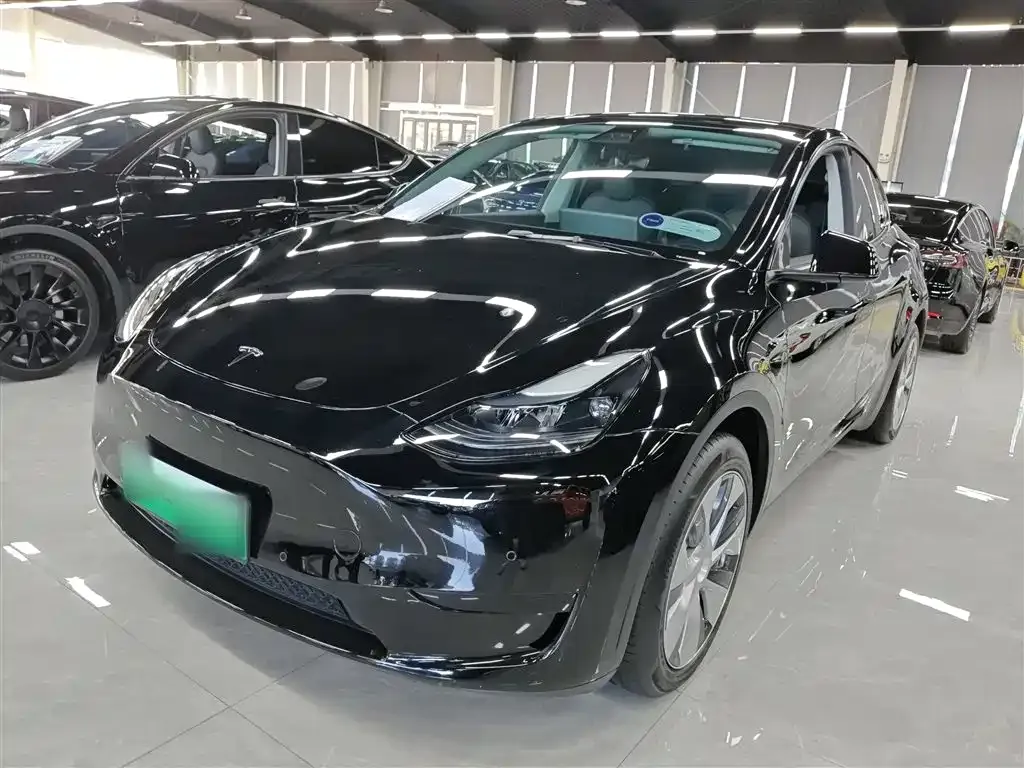 Tesla Model Y — фото 1