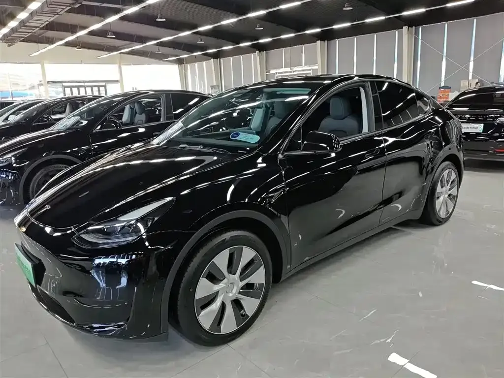 Tesla Model Y — фото 5