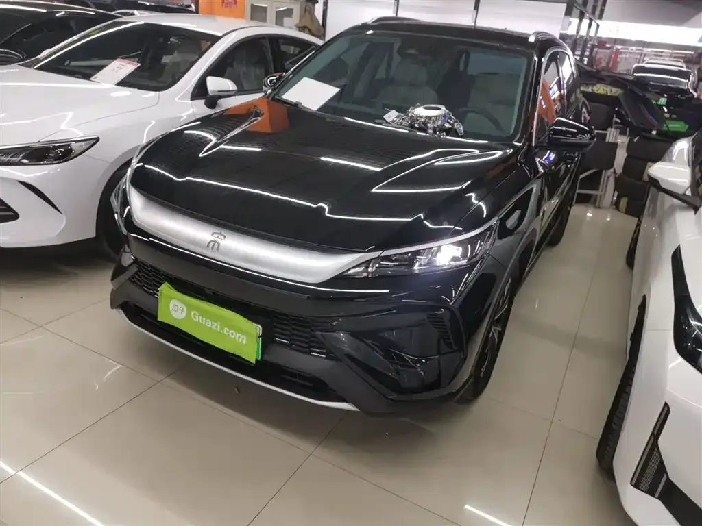 BYD Pro New Energy 2024 из CN, фото 1