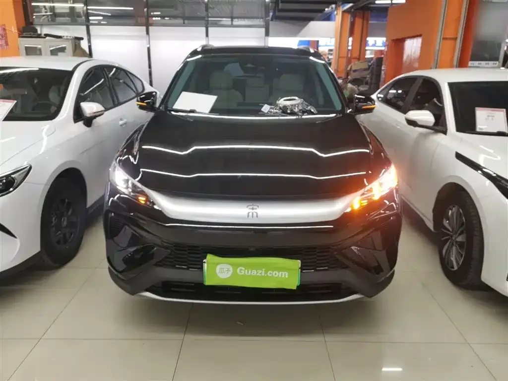 BYD Pro New Energy 2024 из CN, фото 3