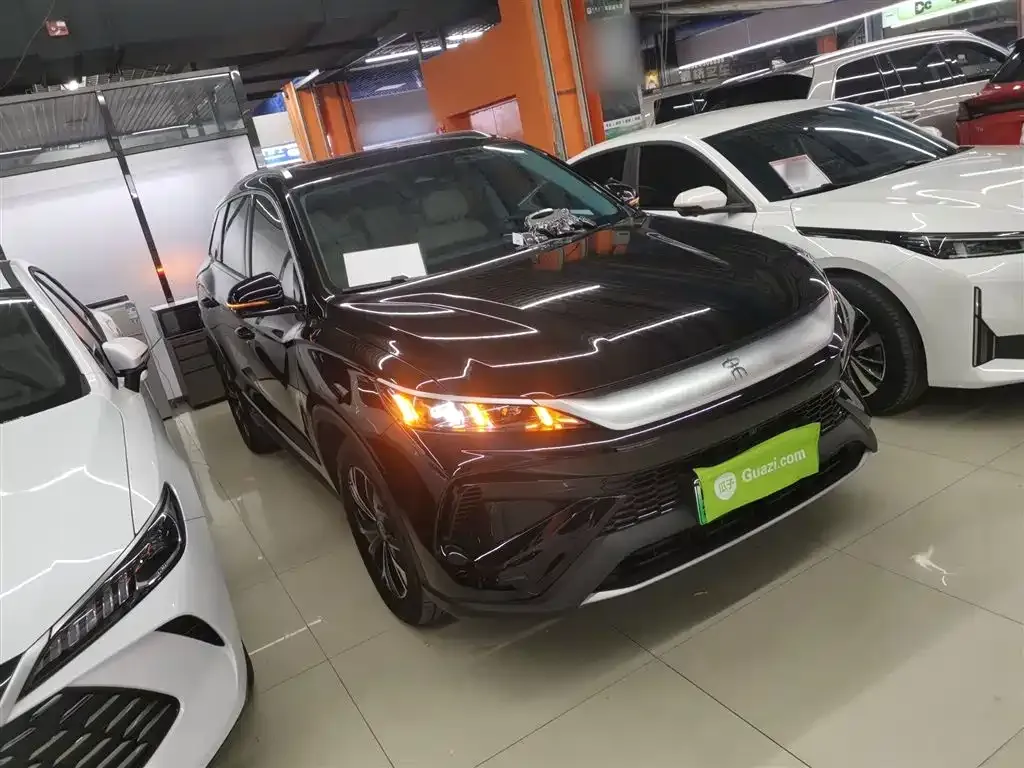 BYD Pro New Energy 2024 из CN, фото 4