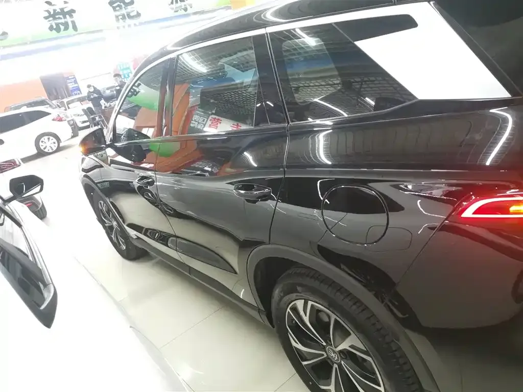 BYD Pro New Energy 2024 из CN, фото 5