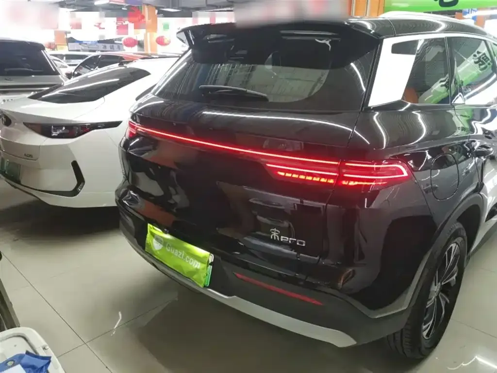 BYD Pro New Energy 2024 из CN, фото 6