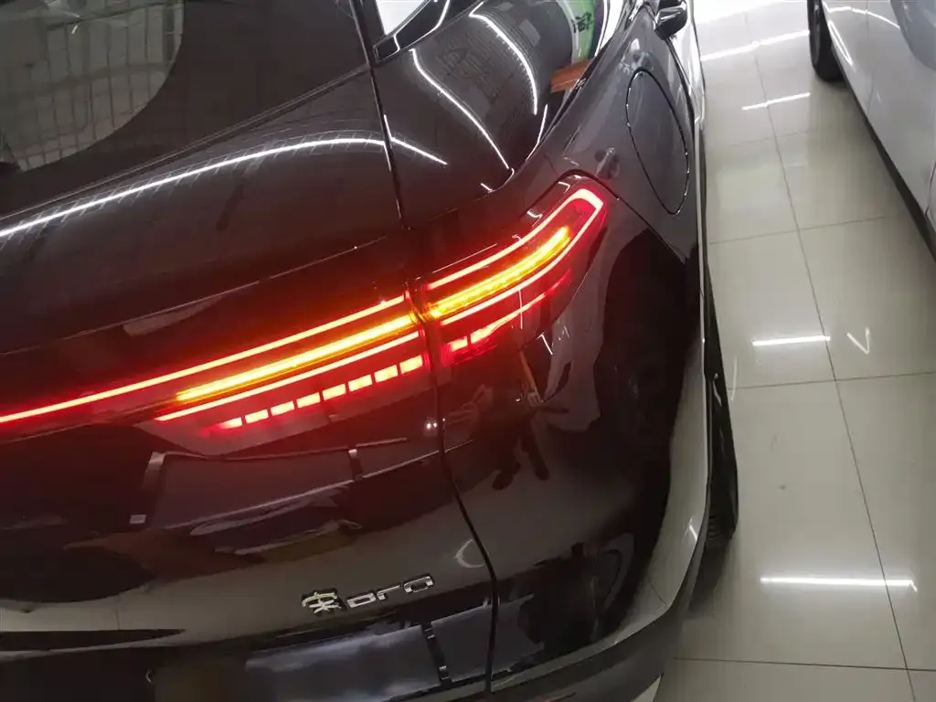BYD Pro New Energy 2024 из CN, фото 8