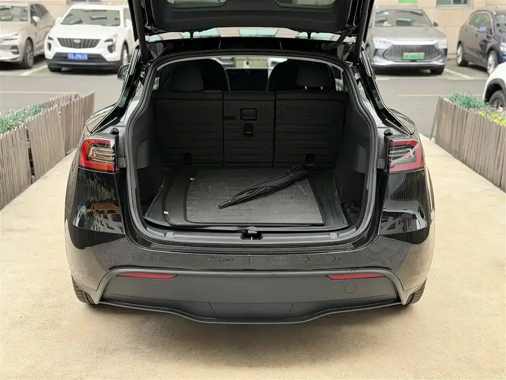 Tesla Model Y 2023 из CN, фото 6