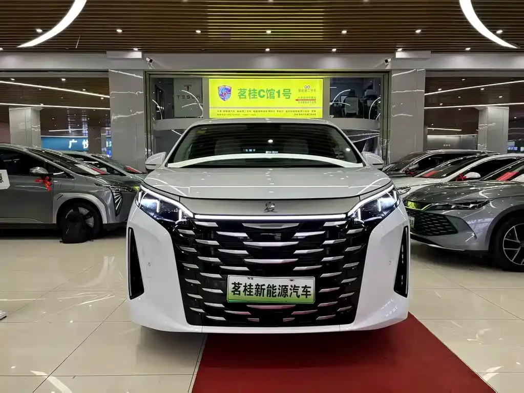 BYD Xia 2025 из CN, фото 2