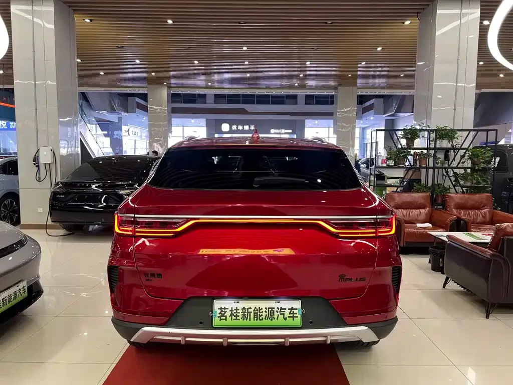 BYD PLUS New Energy — фото 4