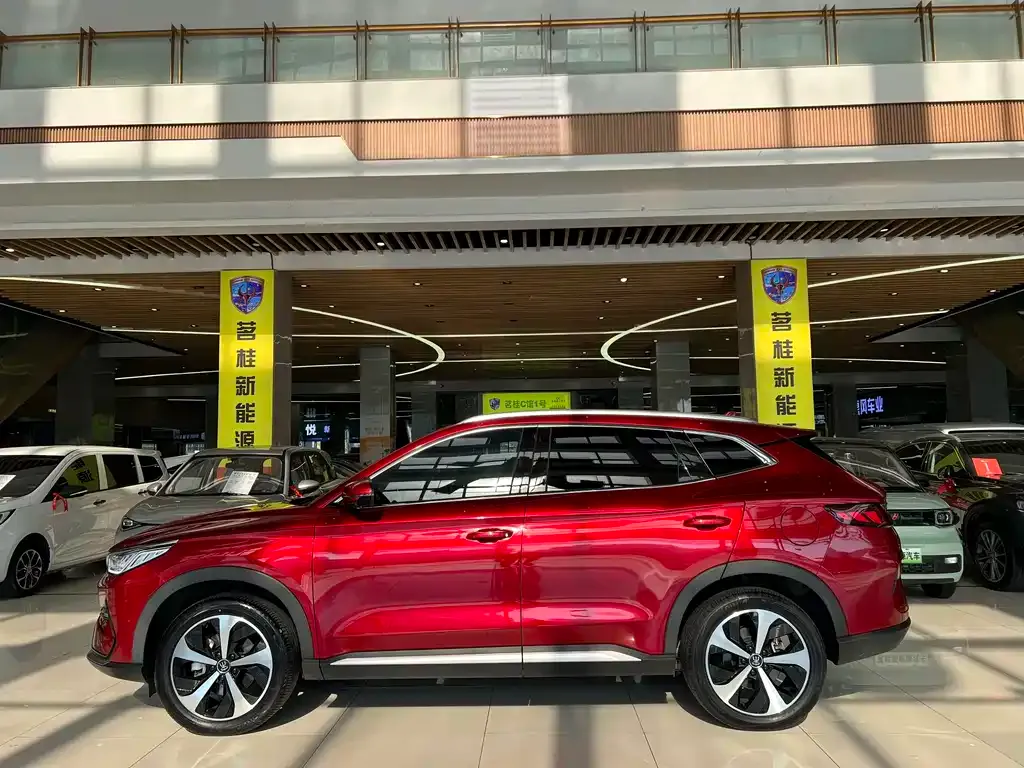 BYD PLUS New Energy — фото 5