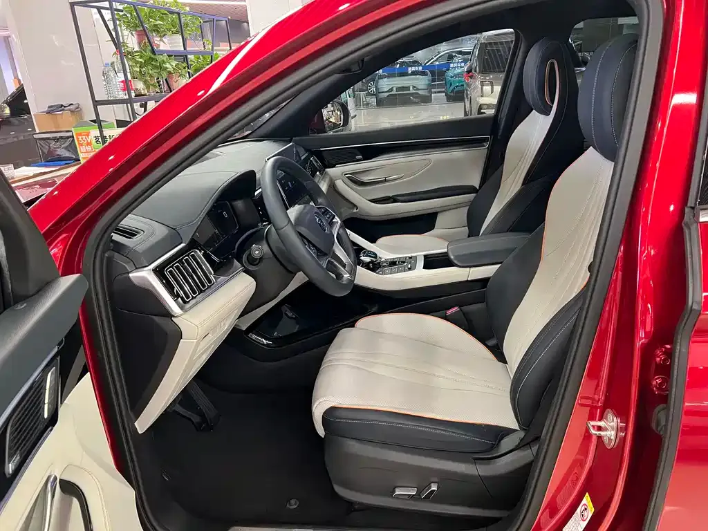 BYD PLUS New Energy — фото 7