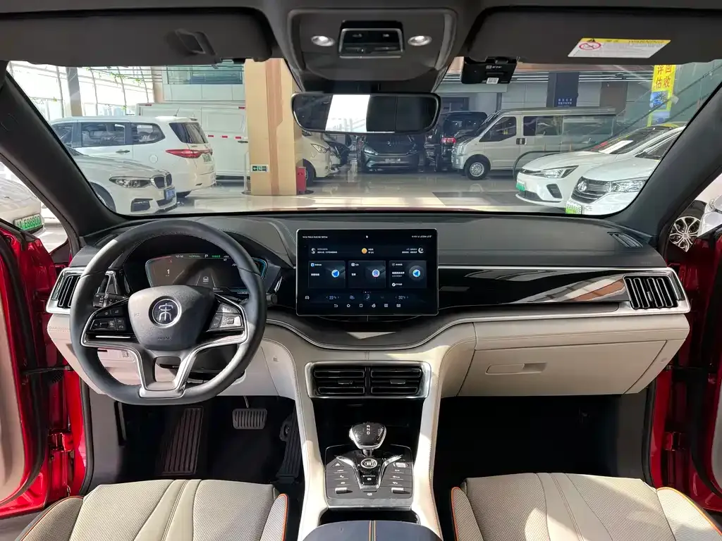 BYD PLUS New Energy — фото 8