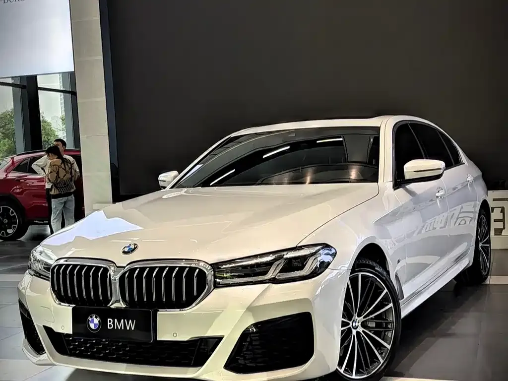 BMW 5 Series 2021 из CN, фото 1