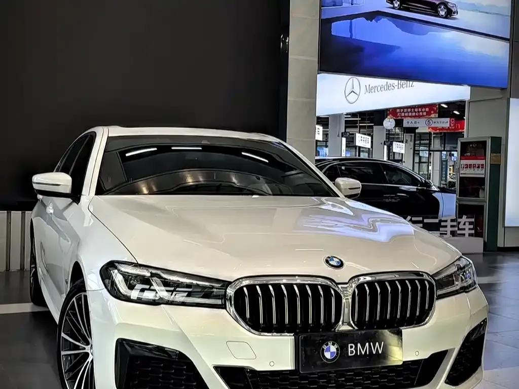 BMW 5 Series 2021 из CN, фото 2