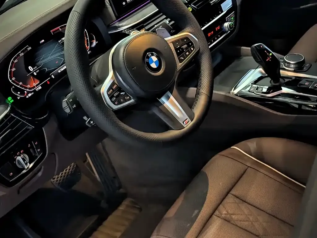 BMW 5 Series 2021 из CN, фото 4