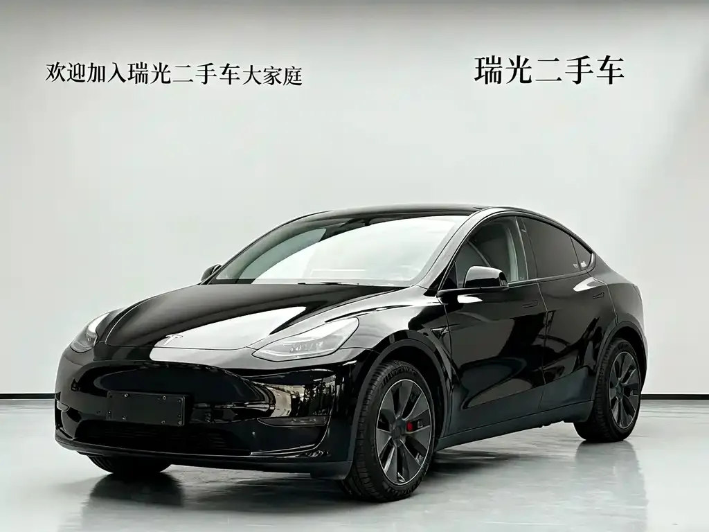Tesla Model Y 2021 из CN, фото 1