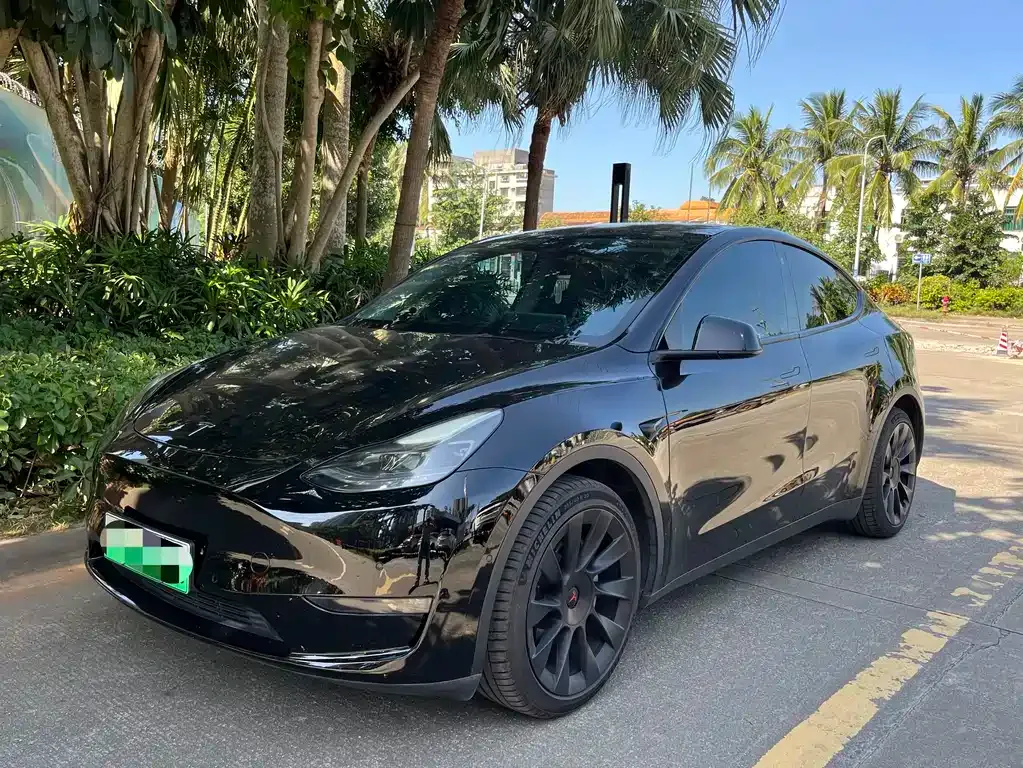 Tesla Model Y 2021 из CN, фото 2