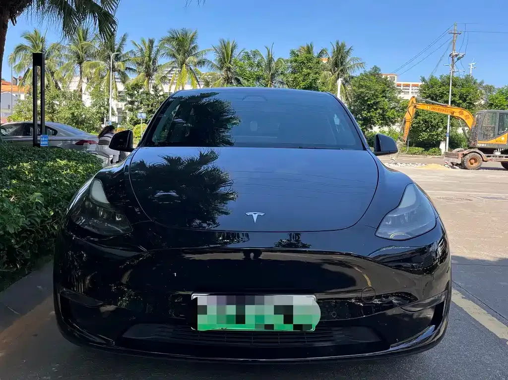 Tesla Model Y 2021 из CN, фото 3