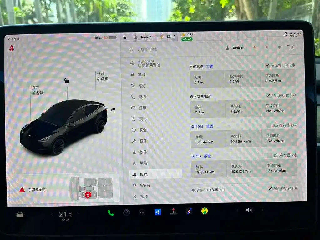 Tesla Model Y 2021 из CN, фото 6