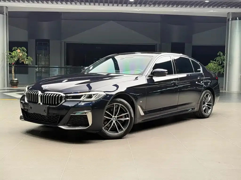 BMW 5 Series 2022 из CN, фото 1