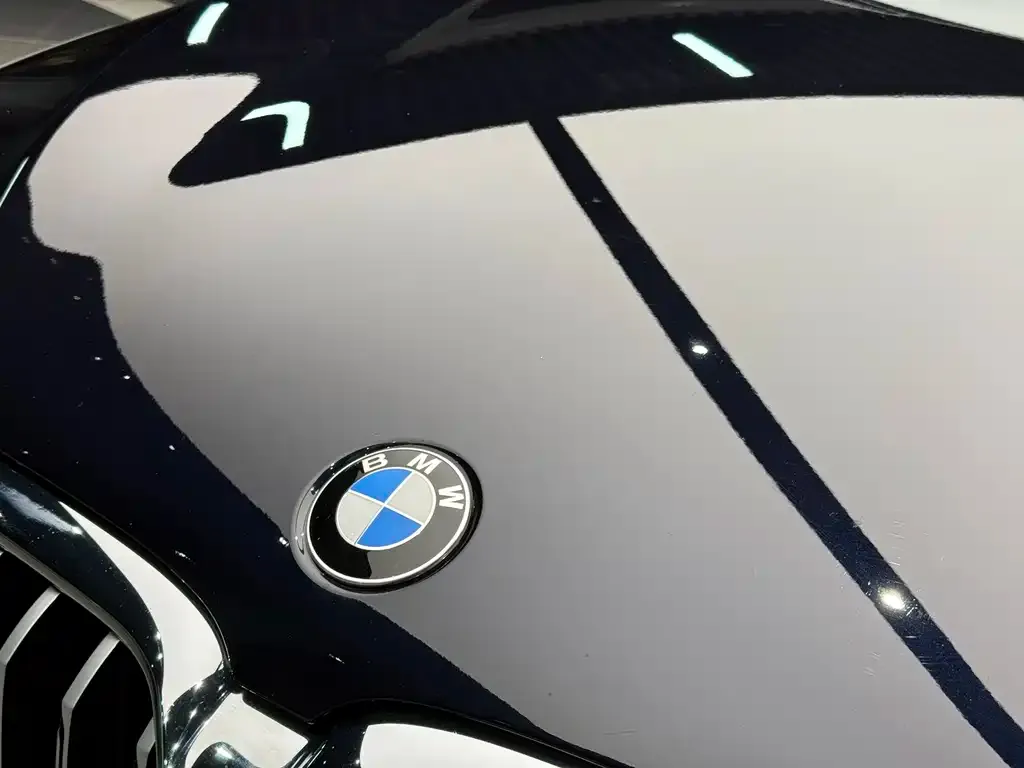 BMW 5 Series 2022 из CN, фото 4