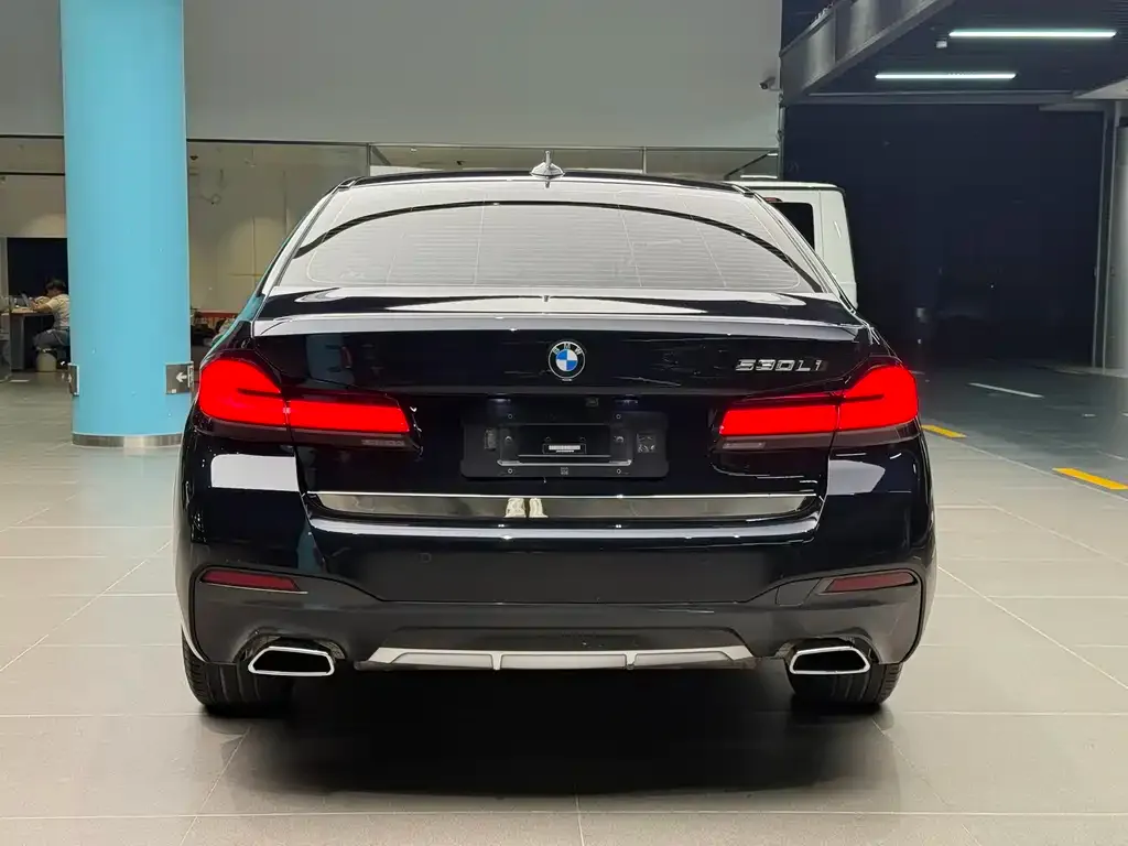 BMW 5 Series 2022 из CN, фото 8