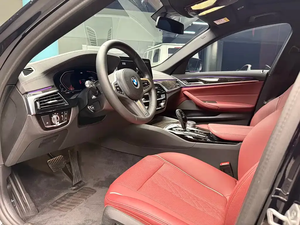 BMW 5 Series 2022 из CN, фото 9