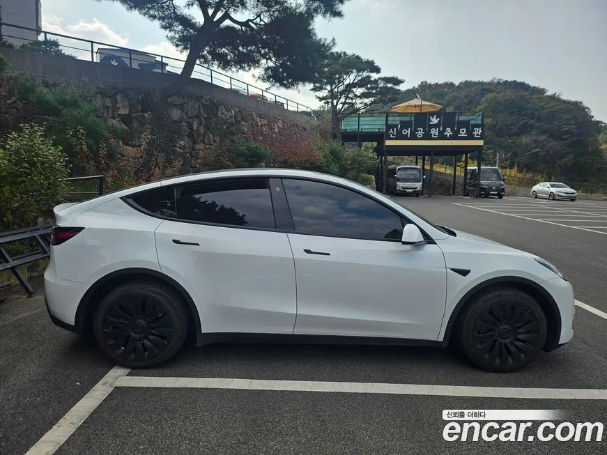 Tesla Model Y — фото 3