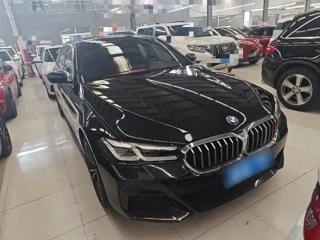 BMW 5 Series 2023 из CN, фото 4