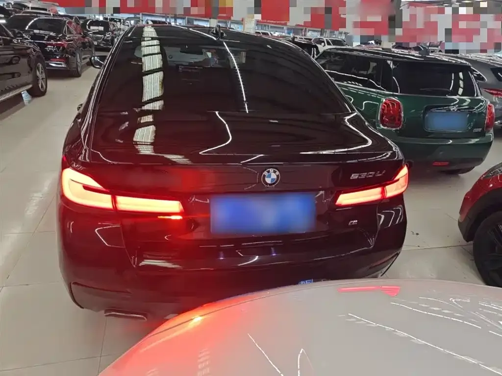 BMW 5 Series 2023 из CN, фото 6