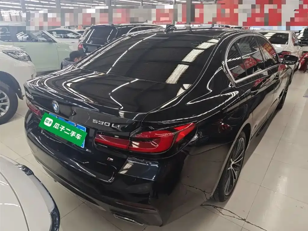 BMW 5 Series 2023 из CN, фото 7