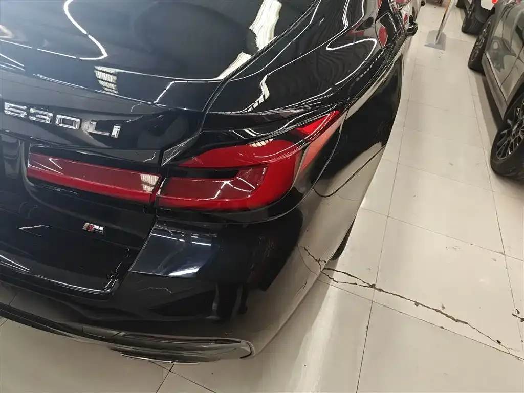 BMW 5 Series 2023 из CN, фото 8