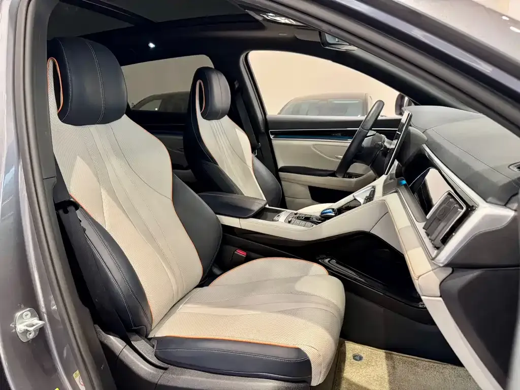 BYD PLUS New Energy — фото 10