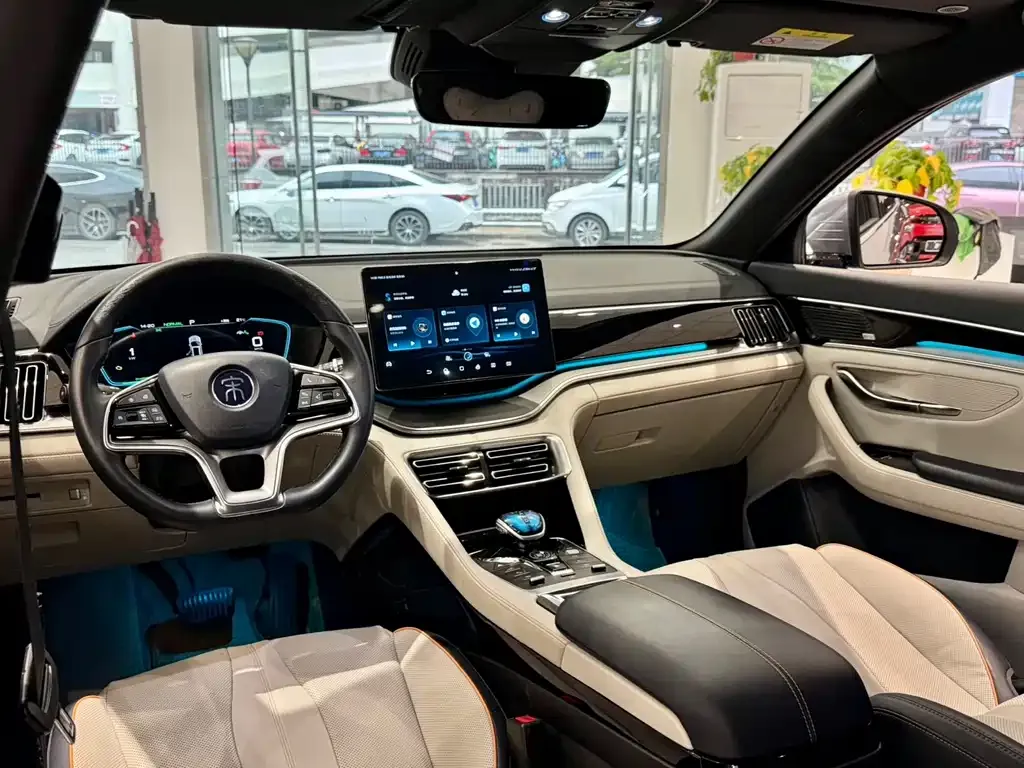 BYD PLUS New Energy — фото 4