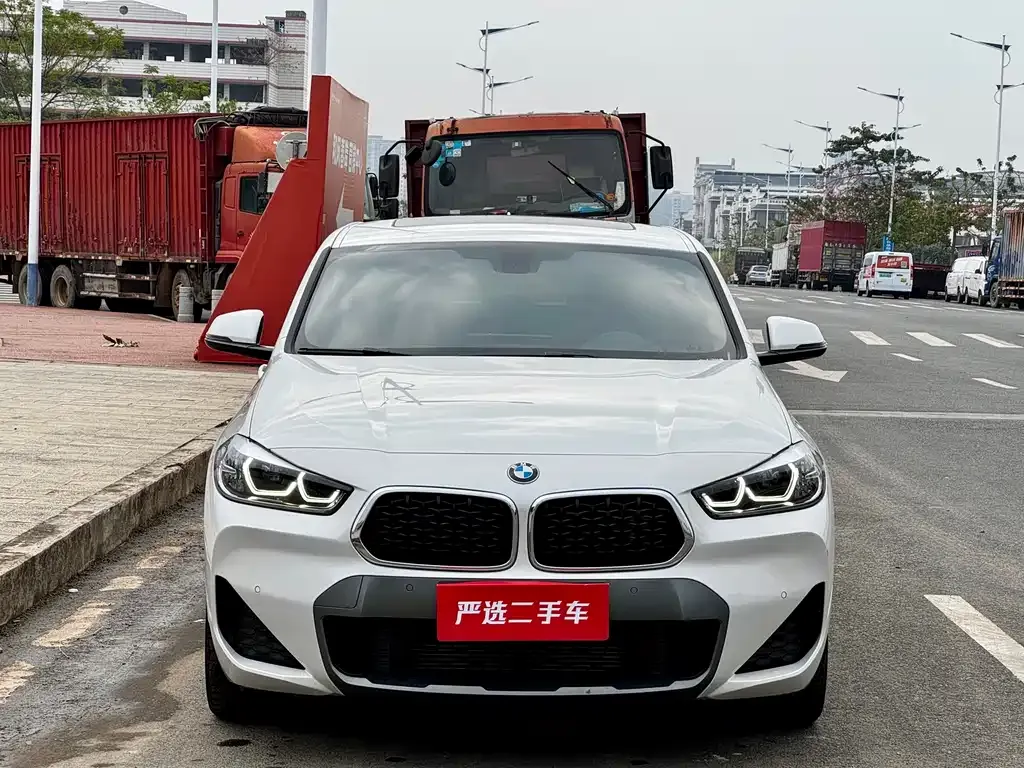 BMW X2 2021 из CN, фото 2