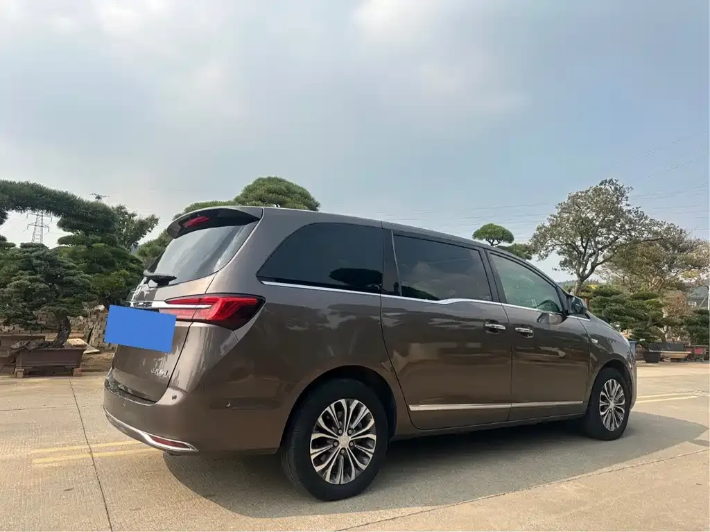 Buick GL8 2021 из CN, фото 5