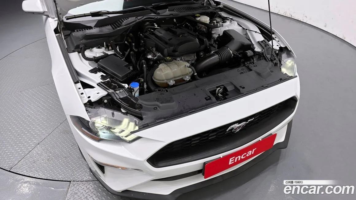 Ford Mustang 2021 из KR, фото 6